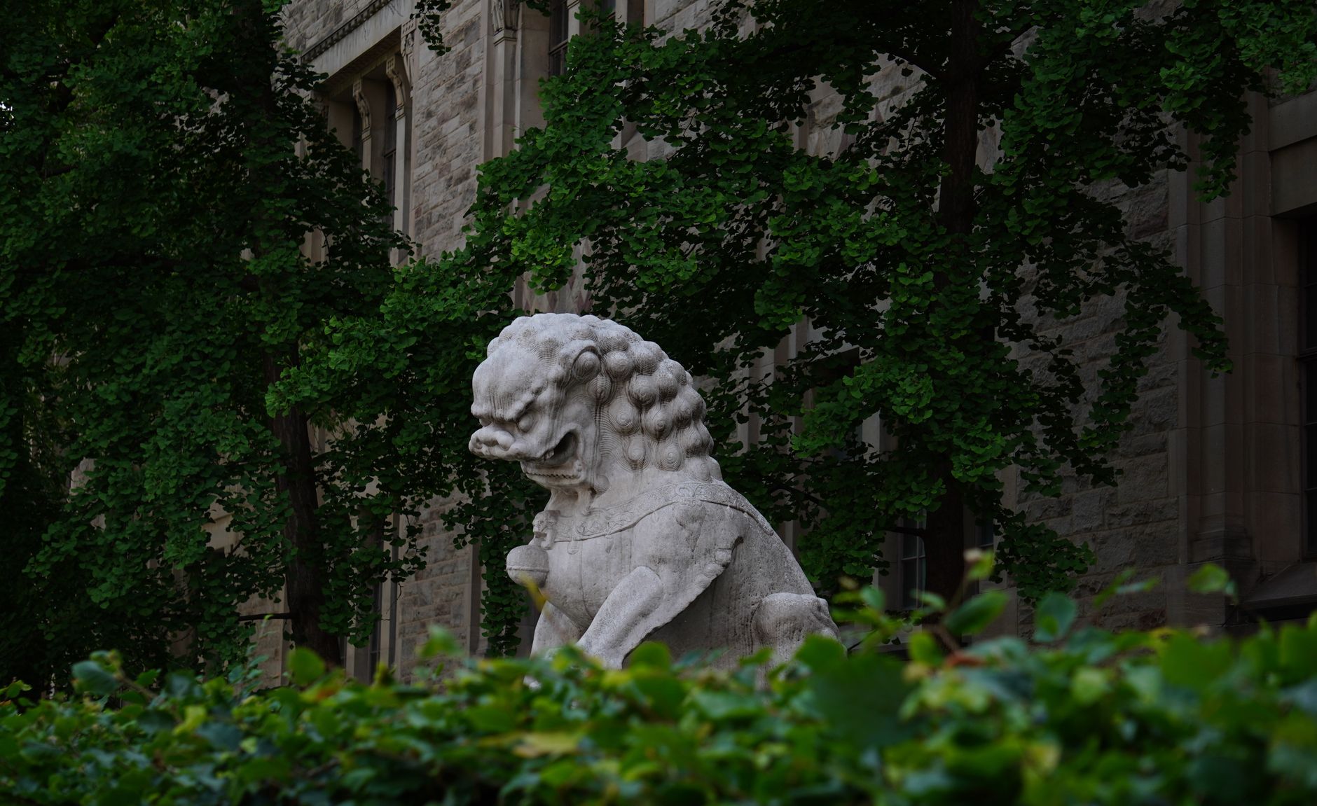 The Guardian editorial urges ministers to restore public trust in university degrees