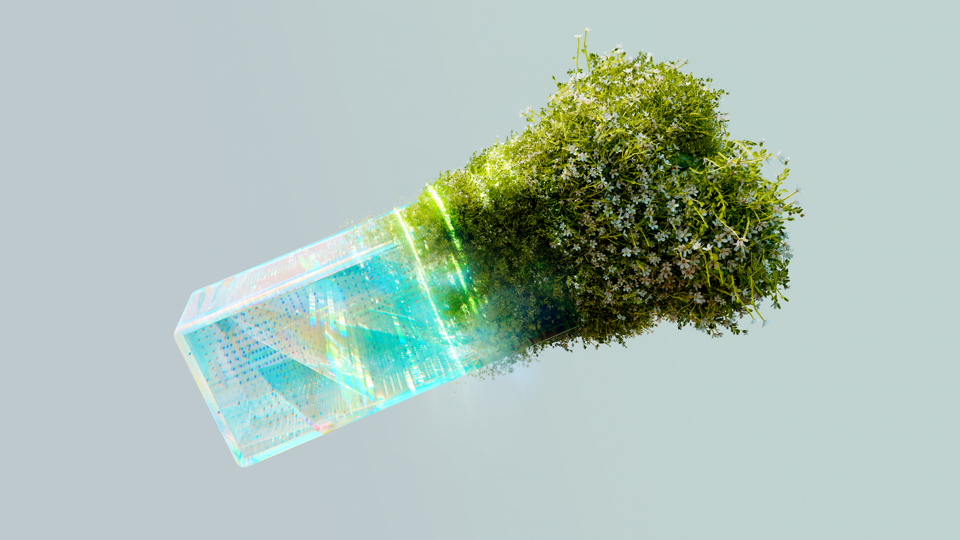 Vision Transformer Models That Grow Smarter as Tasks Get Harder