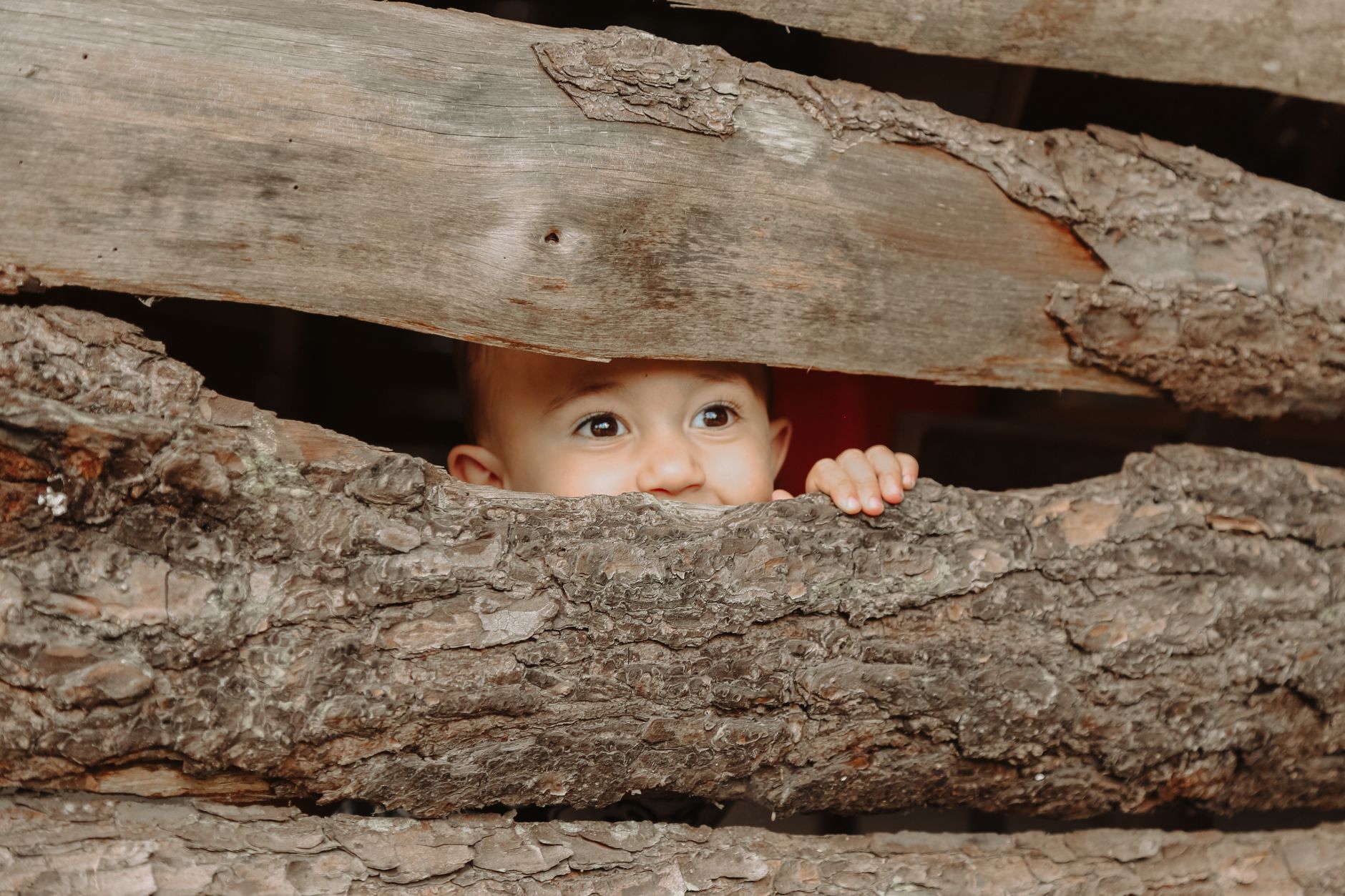 Evading AI Safety Checks by Hiding Harmful Plans in Seemingly Harmless Reasoning