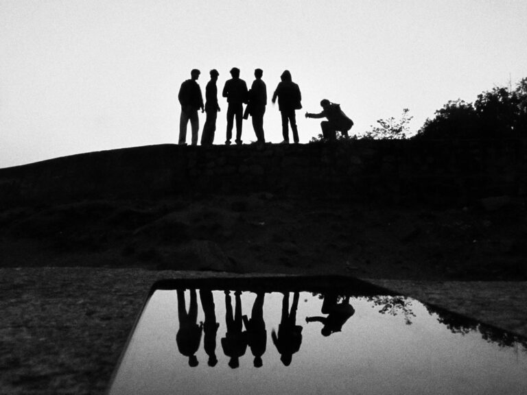 Oasis