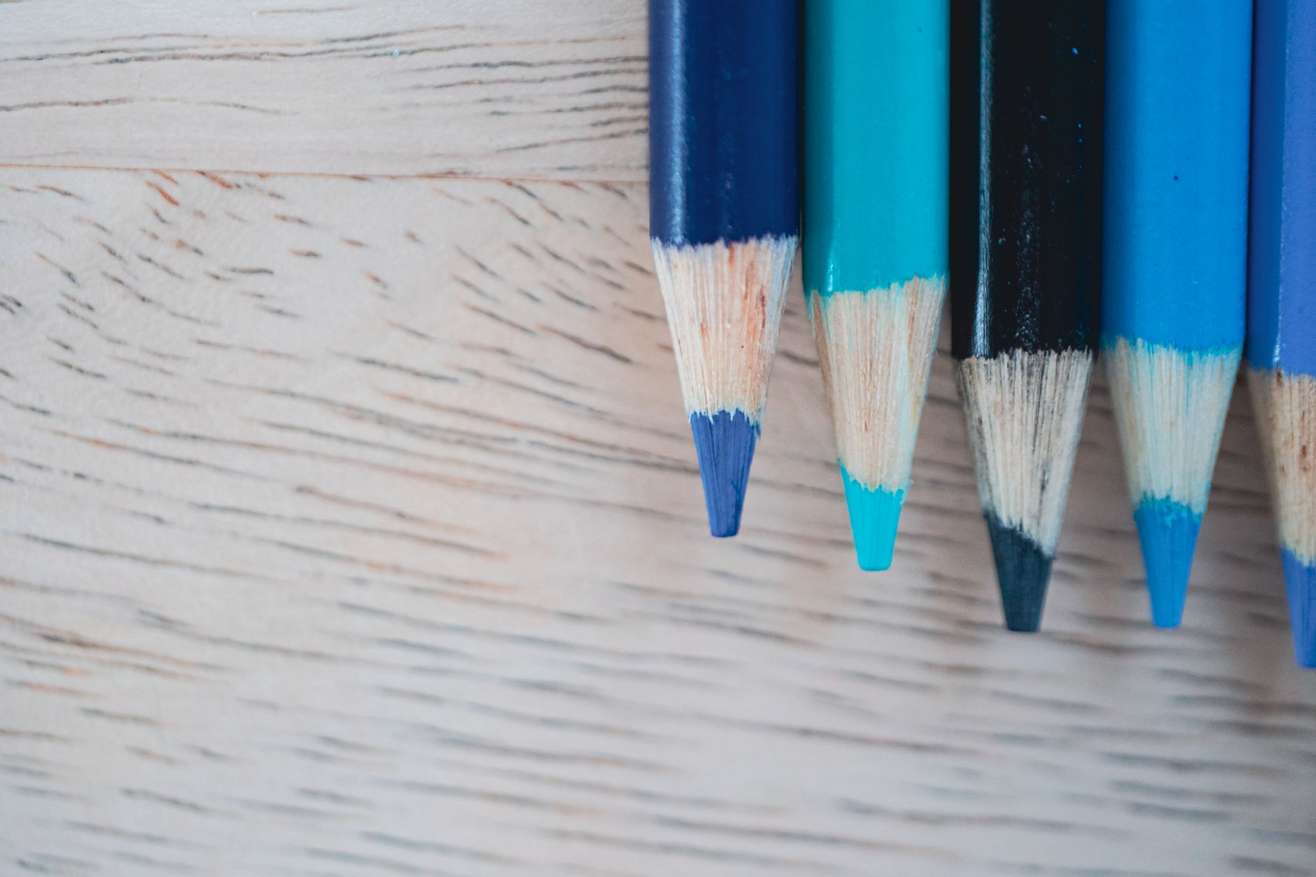 Leading authors recommend novels every school should include in curriculum