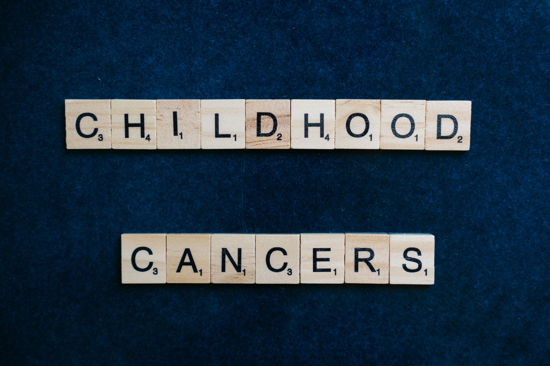 Robust AI Learns Smarter Cancer Treatments That Adapt to Patient Differences and Uncertainty